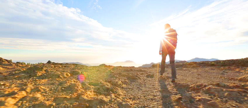 Nutrición De La Piel Y Cabello