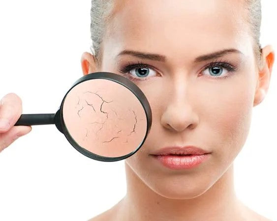 La Ciencia del Cuidado de la Piel: Todo lo que Necesitas Saber