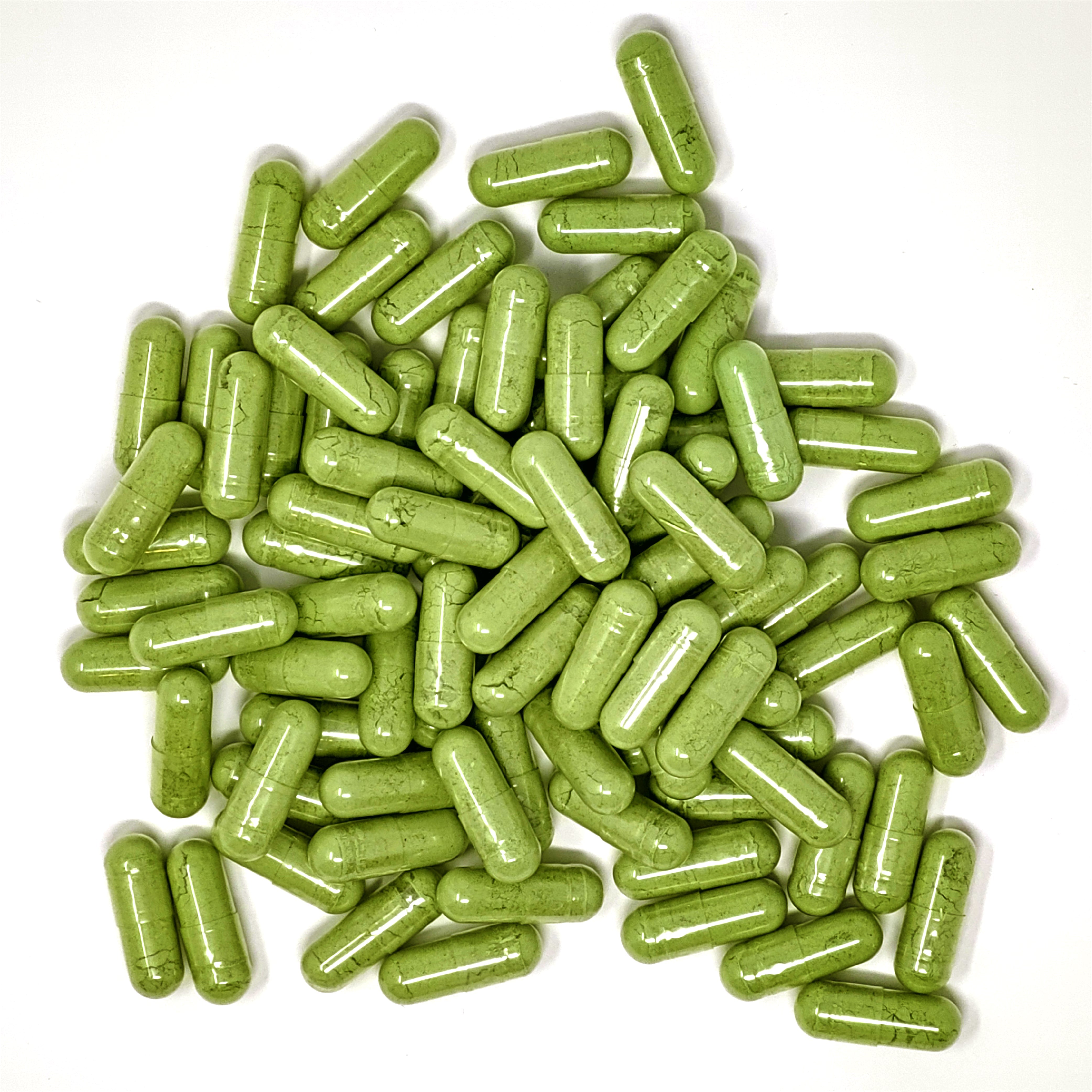 NOPAL PLUS - Fortoul Online