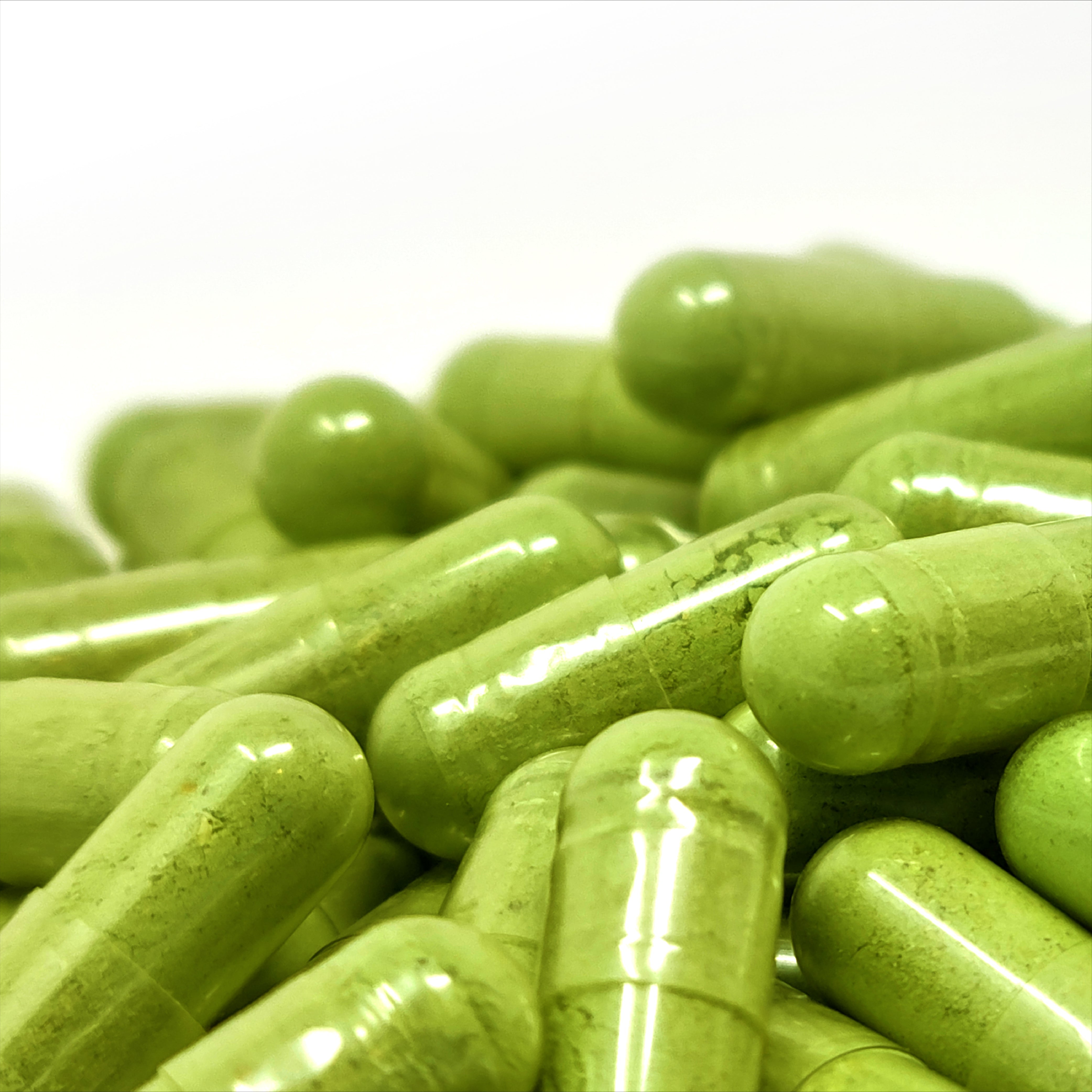 NOPAL PLUS - Fortoul Online