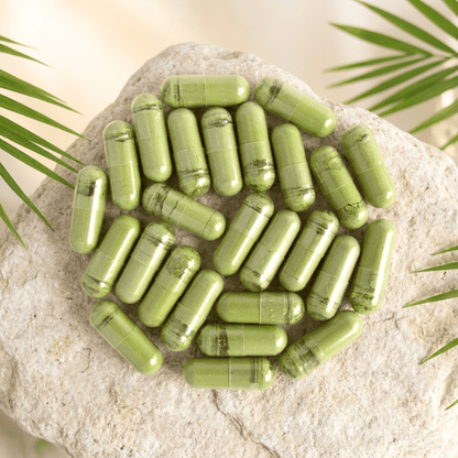 Nopal Plus - Fortoul Online