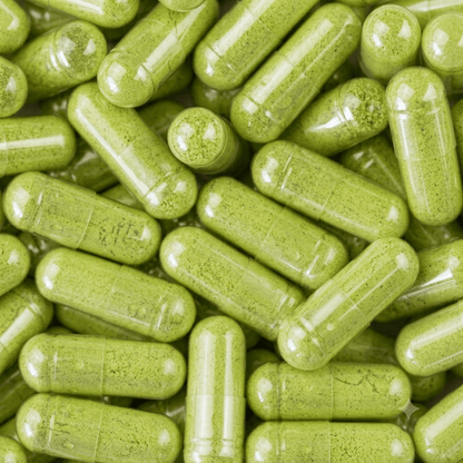 Nopal Plus - Fortoul Online