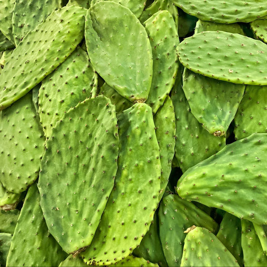 Nopal Plus