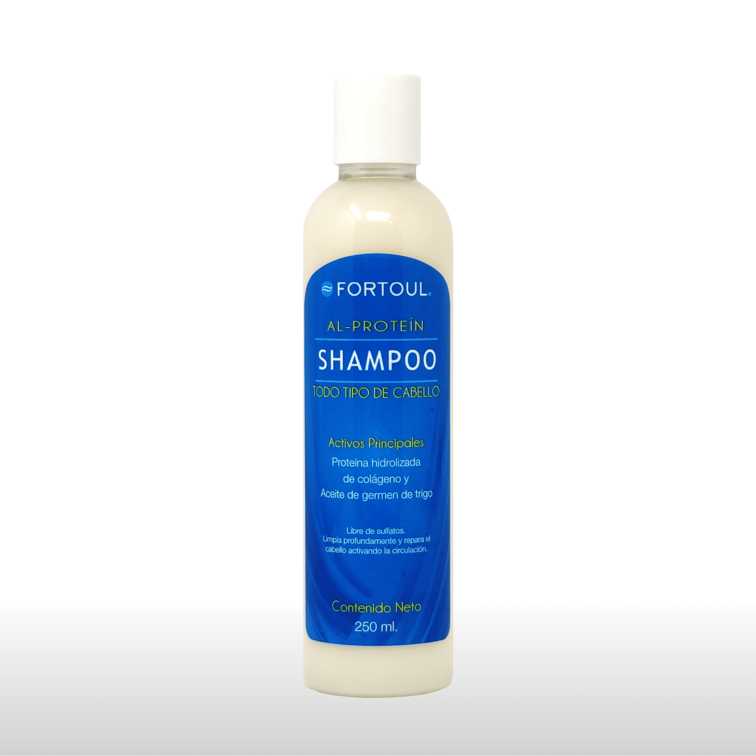 SHAMPOO AL PROTEÍN - Fortoul Online