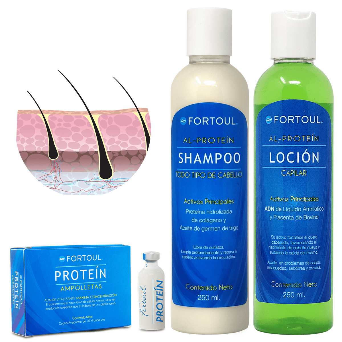Tratamiento Cabello Nuevo | Al Proteín - Fortoul Online