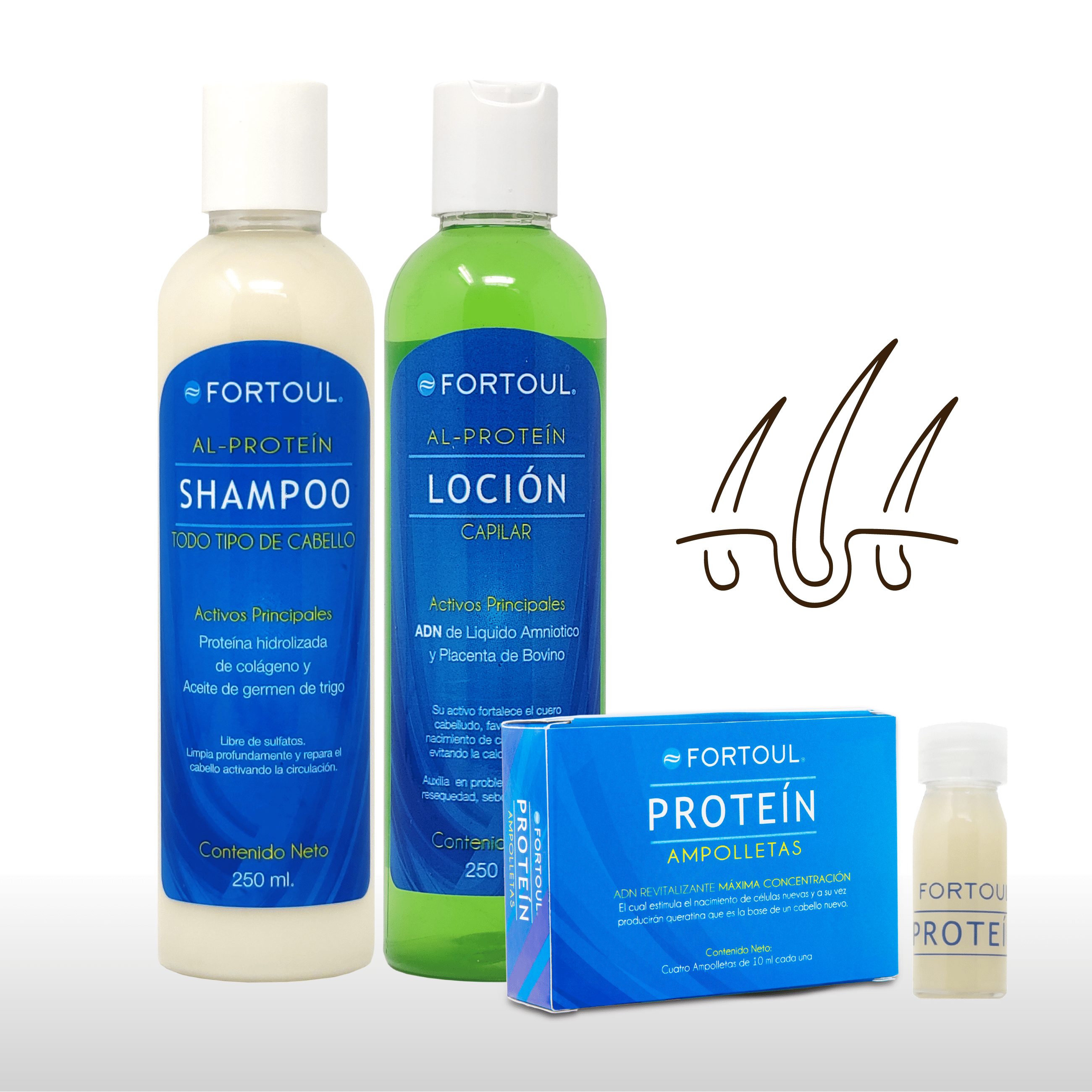 Tratamiento Cabello Nuevo | Al Proteín - Fortoul Online